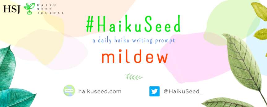 #HaikuSeed – Daily Haiku Prompt / 27 May, 2022