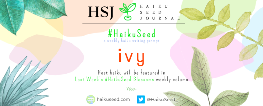 #HaikuSeed – Weekly Haiku Prompt / Week #39
