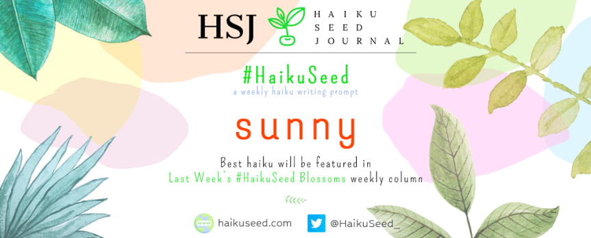 #HaikuSeed – Weekly Haiku Prompt / Week #37
